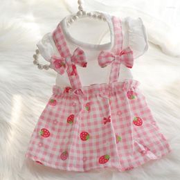 Dog Apparel Strawberry Dress Girl Clothes Summer Princess Pettiskirt Chihuahua Bichon Cat Skirt Ropa Perro