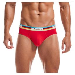 Underpants Feitong Men's Panties Briefs Underwear For Man Knickers Sexy Solid Shorts Thin Bikini Hombre Brand