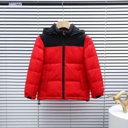 2023 Designer Down Coat The Face Jacket Winter Newest Cotton womens North Jackets Parka Outdoor Windbreakers Couple Thick warm Coats Tops Outwear Multiple Colours