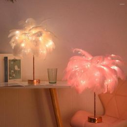 Table Lamps Feather Lamp Lampshade LED Night Light USB Bedside With Remote Control And Battery Dual Purpose Bedroom Decor