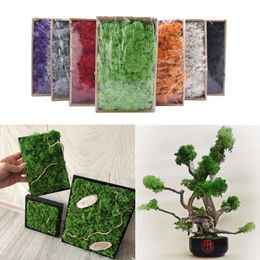 Decorative Flowers & Wreaths 20/40g Natural High Quality Artificial Plant Moss DIY Home Wall Decor Garden Micro Landscape Material For Fake