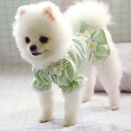 Dog Apparel Summer Thin Princess Dress Teddy Bichon Pomeranian Puppy Clothes Schnauzer Clothing Pattern Material Origin Season