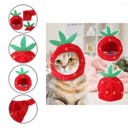 Dog Apparel Eco-friendly Pretty Cute Pet Cats Puppy Cosplay Cap Safe Hat Adorable For Holiday