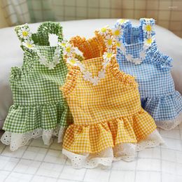 Dog Apparel Pet Clothes For Small Cat Skirt Style Summer Dress Flower Mini Blue Plaid Sun Lace Teddy Bear Clothing