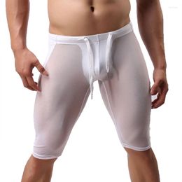 Underpants Mens Long Boxer Shorts Mesh Breathable Sports Fitness Boxershorts Sexy Transparent Gay Panties Calzoncillos Hombre Underwear