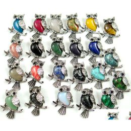 Pendant Necklaces Natural Stone Turquoises Quartz Crystal Tiger Eye Lapis Opal Owl For Diy Jewelry Making Necklace Accessories10Pcs Dhgw5