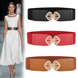 Belts Fashion Lady's Wide Elastic Belt Genuine Leather Gold Metal Buckle Waistband Stretch Cummerbunds Women Waistbands Dress