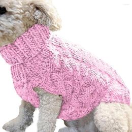 Dog Apparel Turtleneck Knitted Clothes Not Fade Two-legged Thermal Sweatshirt Washable Kitten Puppy Outfit For Pet Winter Decoration