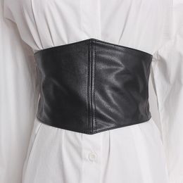 Belts Designer For Women High Quality Soft Leather Wide Black Corset Plus Size Waistband Elastic Dress Belt Stretch Cummerbunds