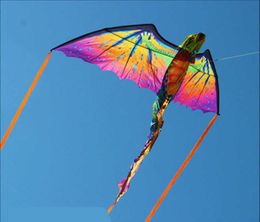 s 3D Pterosaur Chameleon Animal Dinosaur Long Tail Single Line Kite Outdoor Sports Surf Flying Tools Children Gifts 0110