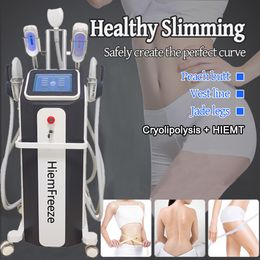 2 IN 1 Cryo EMSlim Slimming Machine Cryolipolysis Fat Freeze HIEMT Anti Cellulite Weight Loss Shaping Body Equipment