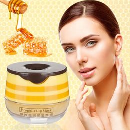 Lip Gloss Honey Propolis Moisturising Nourishing -Wrinkle Care Hydrate & Plump Dry Permanent Lipstick