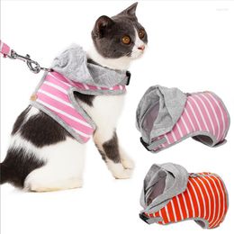 Dog Collars Pet Cat And Traction Rope Chest Back Set Hooded Vest-style Harness Cute Puppy Supplies