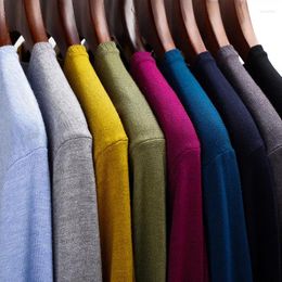 Men's Sweaters IN Men's Round Neck Knitted Sweater Fashion Slim Fit Solid Color Spring Autumn Thin Casual Pullover Male Clothes