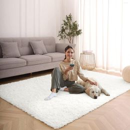 Carpets LOCHAS Thickened Fluffy Carpet For Living Room Rugs Home Decor Soft Large Area Rug Bedroom Mats To Play Baby Kids