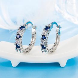 Hoop Earrings Shiny Blue Zircon Crystal For Women Stainless Steel Sliver Colour Small Circle Ear Buckle Trendy Jewellery