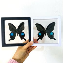 Decorative Objects Figurines Big Real Butterfly Specimen Holiday Gift Modern Simple Creative Desktop Decoration Picture Frame Birthday Home Dec 230111