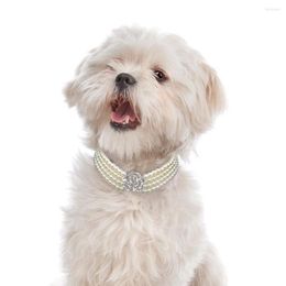 Dog Collars Elegant Crystal Collar Necklace Choker Style Rhinestone Pearl Luxury Pet Accessories Necklaces For Chihuahua D40