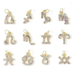 Nail Art Decorations 10Pcs 12-Constellation Alloy Zircon Charms Hollow Dangle DIY Piercing Pendant Jewellery Metal Manicure