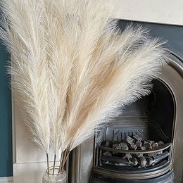 Dried Flowers 5Pcs Faux Pampas Grass Large 110 100 85cm Flower Bouquet Fake Artificial Decor Tall Fluffy Stems Living Room Decor 230111