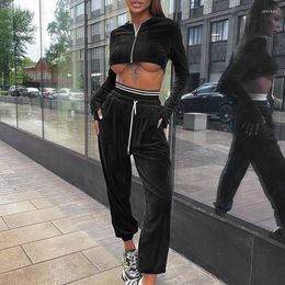 Active Sets Women 2 Piece Velvet Tracksuit Set Long Sleeve Hooded Zip Up Crop Top Drawstring Elastic High Waist Loose Pants Workout Outfits