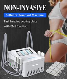 Portable 2 In 1 Fat Freeze Slimming Machine Cryolipolysis Cryotherapy Cryo Pads EMS Function Weight Reduction Body Sculpting Equipment For Beauty Center