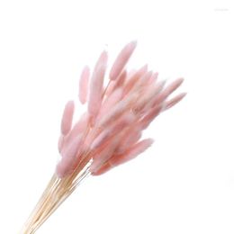 Decorative Flowers 50 Stems Dried Flower Tail Bunch Light Pink Natural Plants Floral Grass Bouquet Wedding