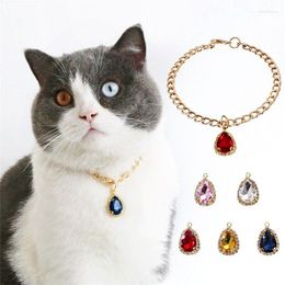 Dog Collars S-L Chic Crystal Pendant Pet Collar Fashion Holiday Party For Pets Gold Colour Chain Cats Puppy Dogs Supplies Accessories