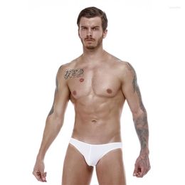 Underpants BECHOICE Men's Triangle Pants Nylon Underwear BE3-M213 Burst On The Market