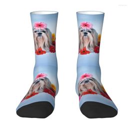 Men's Socks Shih Tzu Dogs Gerberas Floral Pattern Dress Mens Womens Warm Funny Novelty Animla Crew