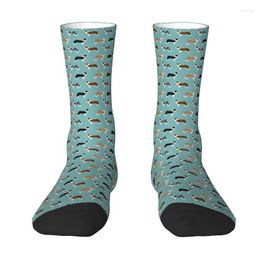 Men's Socks Cute Dog Border Collie Men Women Crew Unisex Fashion Puppy Pet Spring Summer Autumn Winter Dress