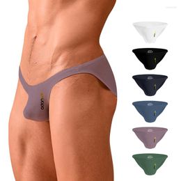 Underpants Sissy Briefs Men Underwear Sexy Men's Panties For Gay Modal Soft Man Ice Silk 2 Style Cueca Tanga Thong AD314