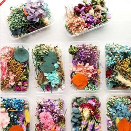 Decorative Flowers 1Box Dried UV Resin Natural Flower Stickers Dry Beauty Decal For Art Jewellery Making Craft Casting Mould Gifts Accessories