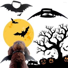 Dog Collars Pet Supplies Cat Halloween Bat Wing Decoration Clothes With Traction Rope Chest Back Accessories