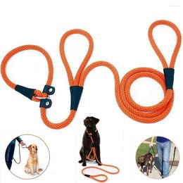 Dog Collars Nylon Pet Leash Outdoor Training Leashes Double Handle Rope P Style Adjustable Collar Belt For Medium Large Dogs Supplies