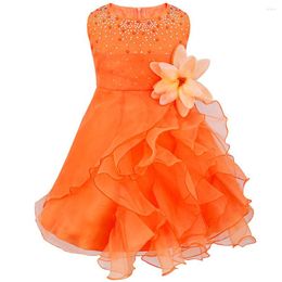 Girl Dresses Baby Vestido Birthday Party Clothes Ball Gown Princess Organza Tutu Dress Sleeveless Infant Girls For Baptism Wedding