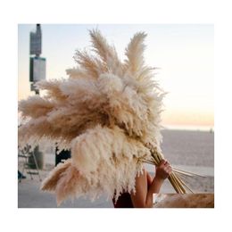 Decorative Flowers Wreaths Large Pampas Grass 48Dried Fluffy Natural Dried Home Boho Decor Country Wedding Pompas Floral Drop Deli Dh81H
