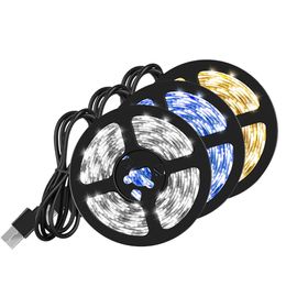 USB Led Lights Strip For Room Decor wedding Christmas decoration bedroom closets Kitchen TV ring Light Led Wall lamps neon light 5meter