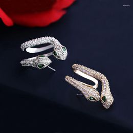 Backs Earrings Top Quality Single Piece Full Cubic Zirconia Ear Clip Earring Curled Up Two Snake Stud Cuff Women Jewellery