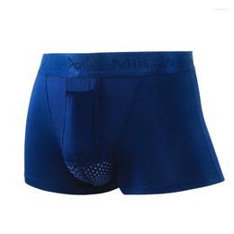 Underpants Men's Solid Cotton Boxer Shorts Sexy Underwear Low-rise Boxers Men Panties