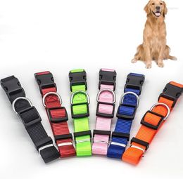 Dog Collars Collar 6 Colours Nylon With Quick Snap Buckle Adjustable Neck Strap Cat Pet SN1778
