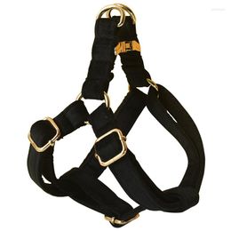Dog Collars Classic Black Harness Small Pitbull Pug Solid Bite Resistant Anti-lost Leash And Collar Set Honden Accessoires Harnais Chien
