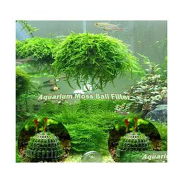 Decorations Aquarium Marimo Moss Ball Live Plants Filter For Java Shrimps Fish Tank Ornaments Drop Delivery Home Garden Pet Supplies Dhvkd
