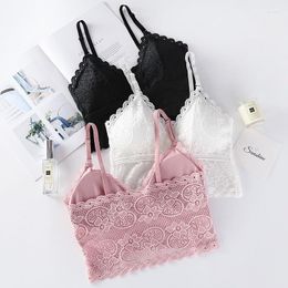 Camisoles & Tanks 2023 Spring And Summer Suspenders Sexy Lace Girl Underwear Thin Straps No Steel Ring