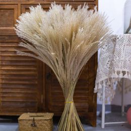 Decorative Flowers Dried Pampas Grass Reed Artificial Simulation Plants 15pcs Set Tall Floor Vase Home Decoration
