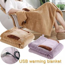 Blankets USB Electric Blanket Soft Thicker Heater Bed Warmer Machine Washable Thermostat Heating Mat For Home Office 60x80C C1N0