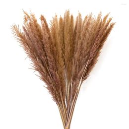 Decorative Flowers Dried Reed Bouquet Natural Window Decoration 20Pcs Pampas Grass