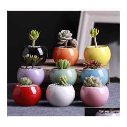 Planters Pots 9 Colors Ceramic Succents Flower Pot Small Ball Round White Porcelain Color Mini Creative Drop Delivery Home Garden Ot9Vj