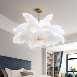 Chandeliers Modern Feather Chandelier Ostrich Lamp Restaurant Bar Kitchen Interior Lighting Home Decoration Large