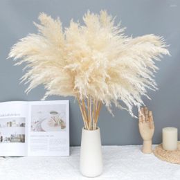 Decorative Flowers 10/20 Pcs Cream Pampas Grass Decor Fluffy Dried Decoration Natural Bouquet Boho Valentines Day Gif